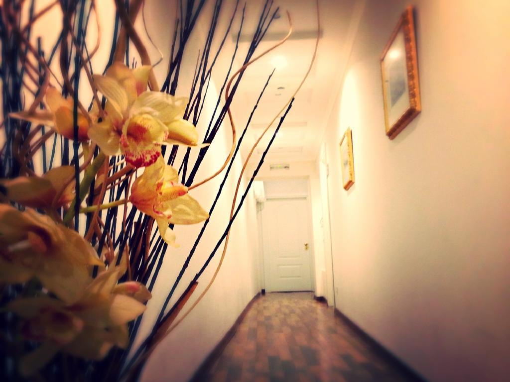 Bed and Breakfast Residenza Domiziano Rom Exterior foto